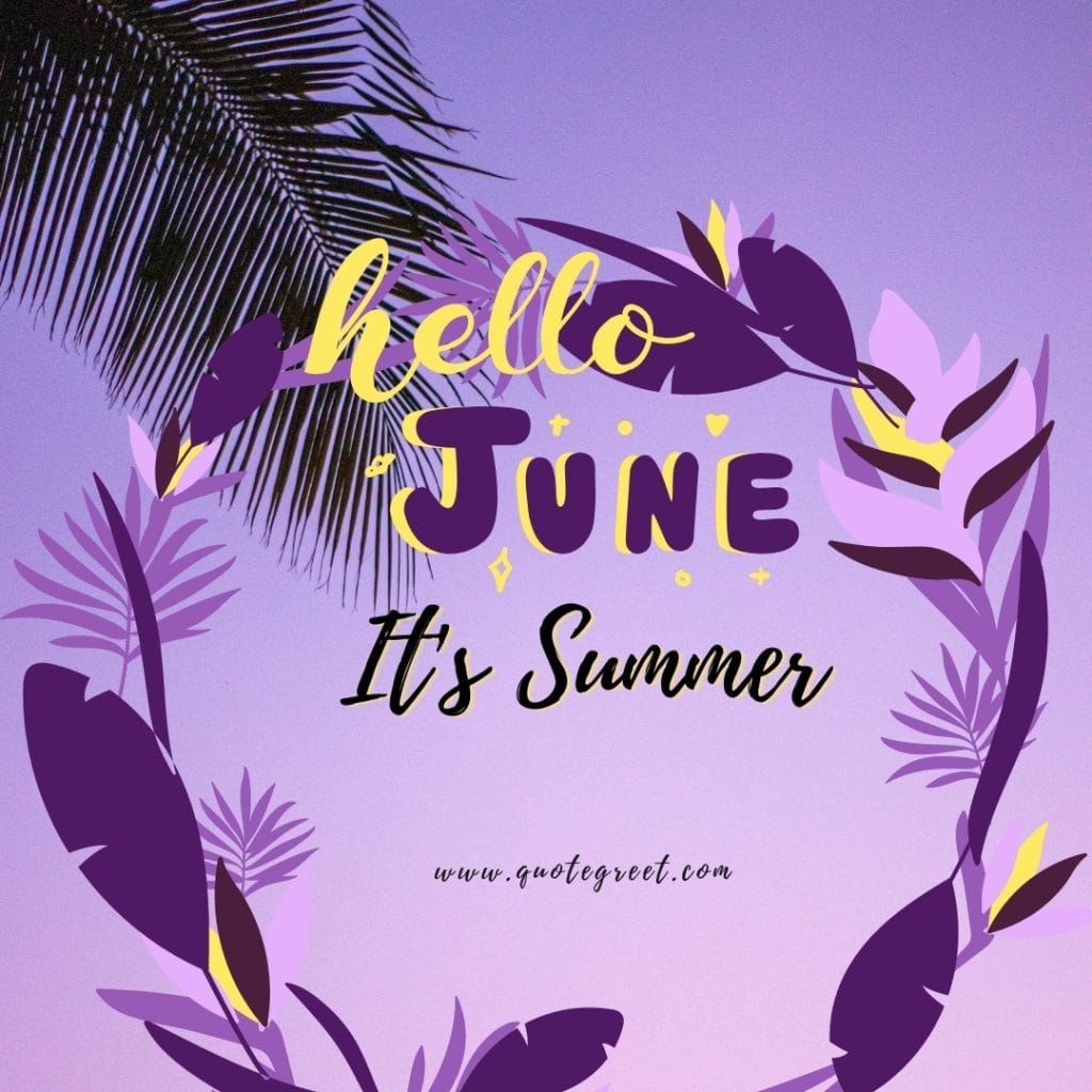 hello-june-its-summer-images-purple-vibes-cute-beautiful-pic-image-picture-photo-hd