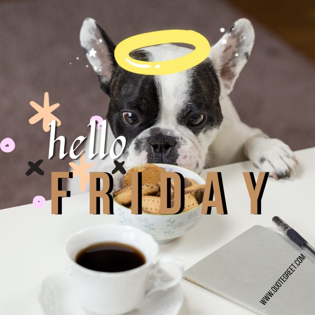 coffee-hello-friday-images-dog-breakfast-pic-image-picture-photo