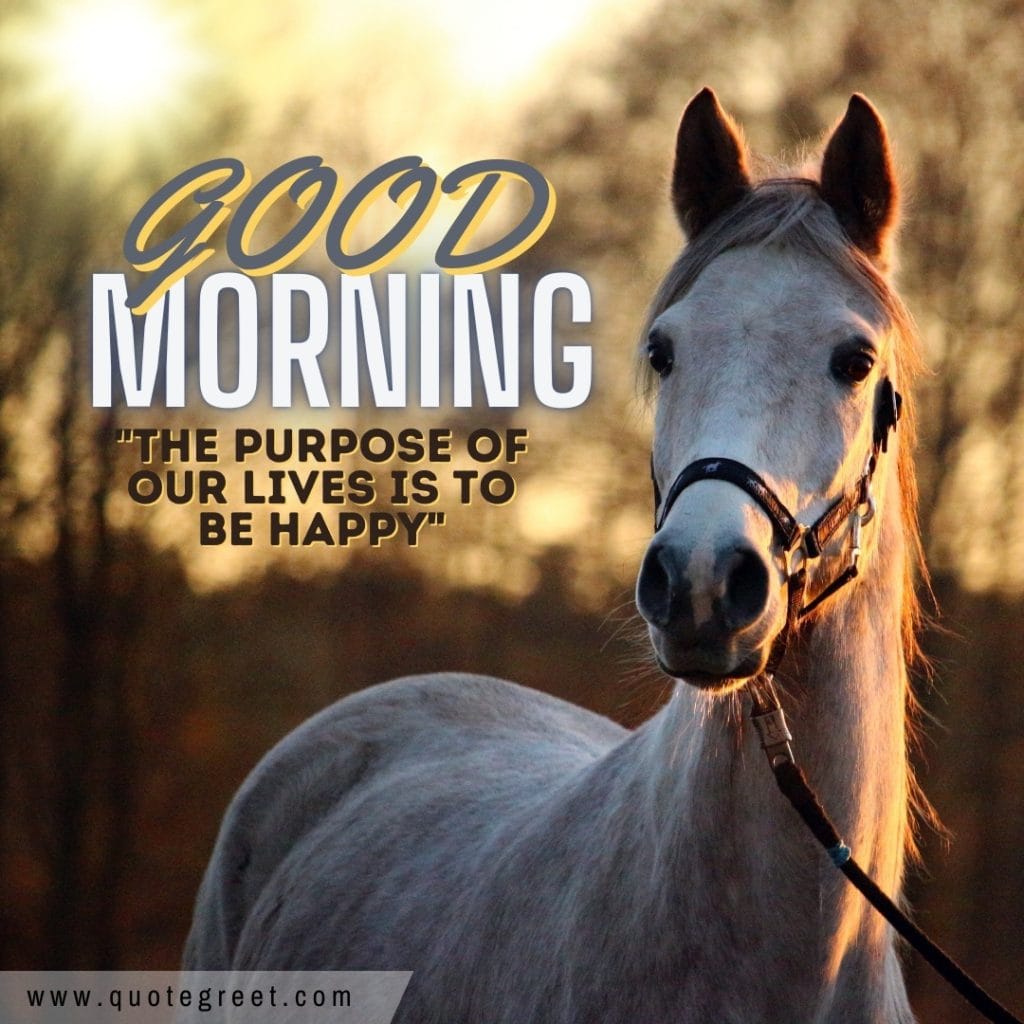 good-morning-horse-positive-message-wishes-brown-nature-image-pic-gud-picture-photo