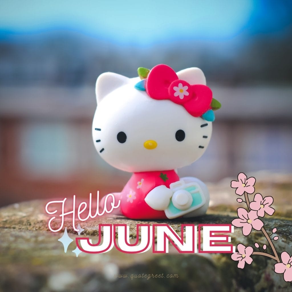 hello-june-images-kitty-cute-beautiful-pic-image-picture-photo-hd