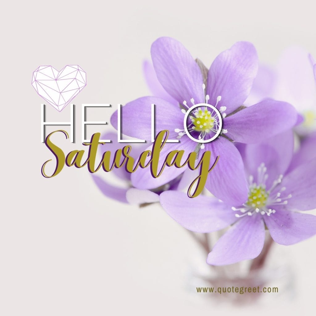 hello-saturday-images-purple-flower-cure-aesthetic-pic-image-picture-photo