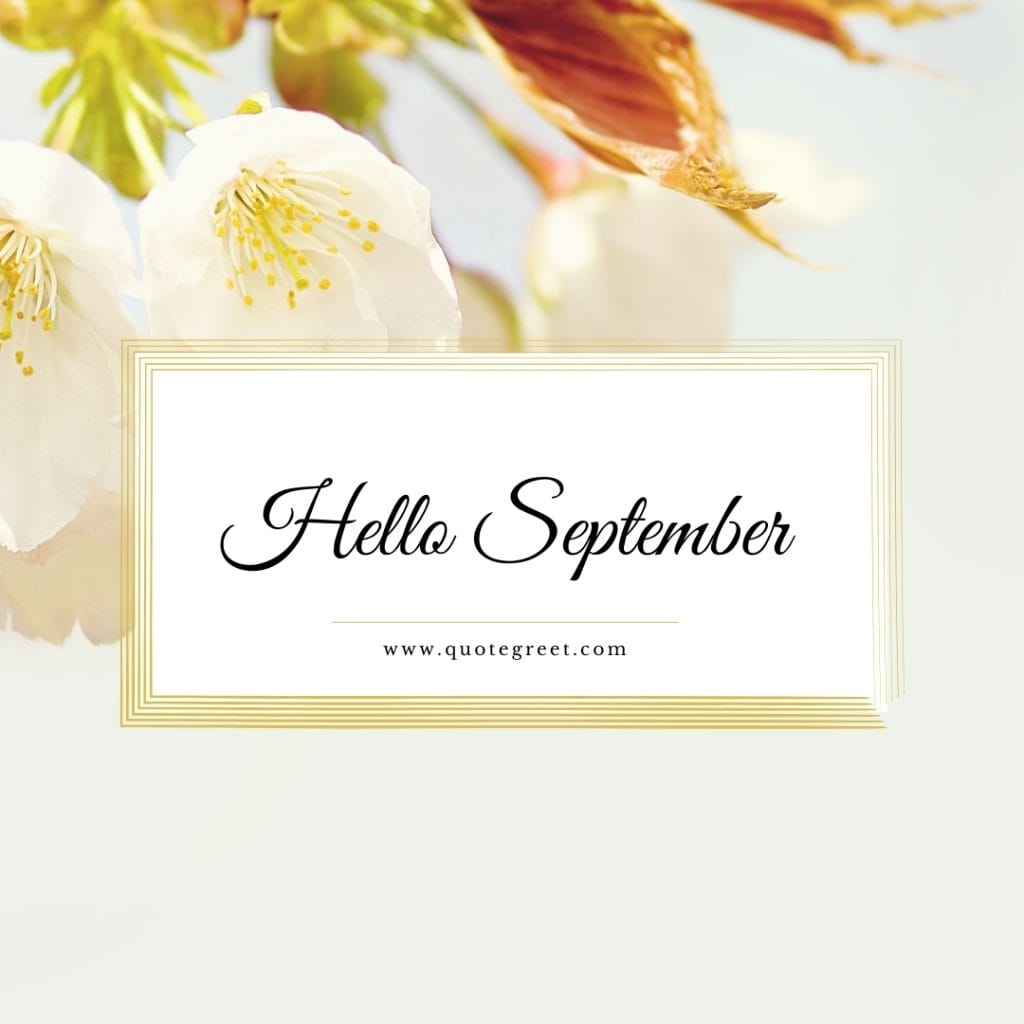 hello-september-images-cute-white-flower-floral-aesthetic-beautiful-wishes-greetings-modern-pretty-pic-picture-image-photo