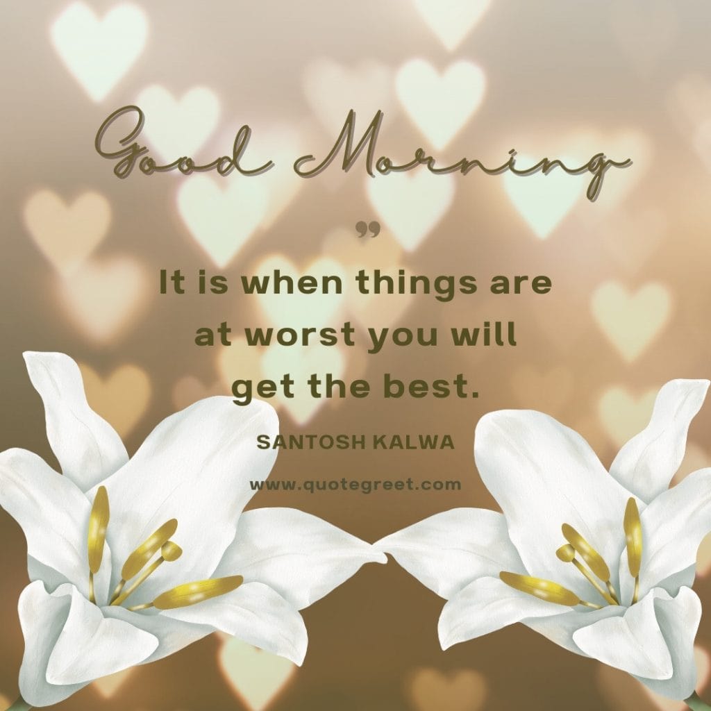 good-morning-white-lily-images-positive-inspirational-motivational-quote-flower-flowers-beautiful-cute-pretty-lilies-lillies-lilly-gud-hd-pictures-photo-image