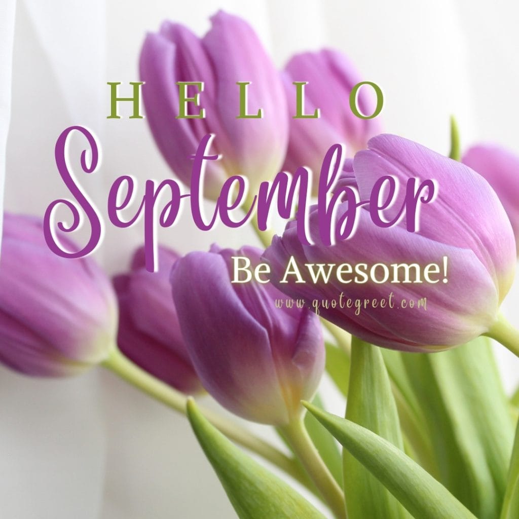 purple-hello-september-tulip-flowers-violet-images-nature-aesthetic-beautiful-cute-modern-pretty-wishes-greetings-pic-picture-image-photo