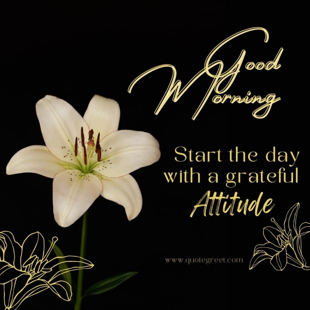 good-morning-white-lily-images-quotes-positive-inspirational-motivational-beautiful-cute-pretty-flower-flowers-lilies-lillies-lilly-gud-hd-pictures-photo-image