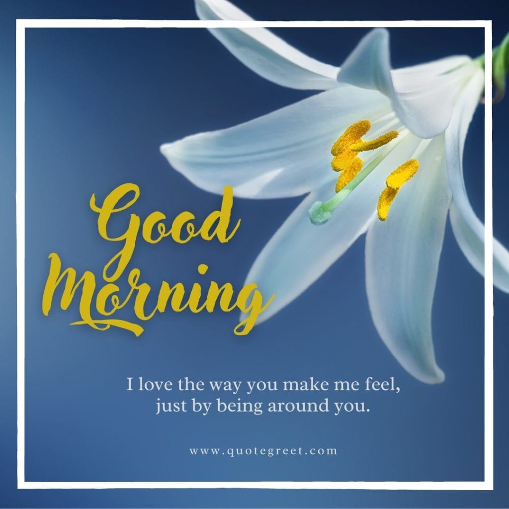 good-morning-white-lily-images-love-messages-him-her-romantic-quotes-flower-flowers-beautiful-cute-pretty-lilies-lillies-lilly-gud-hd-pictures-photo-image