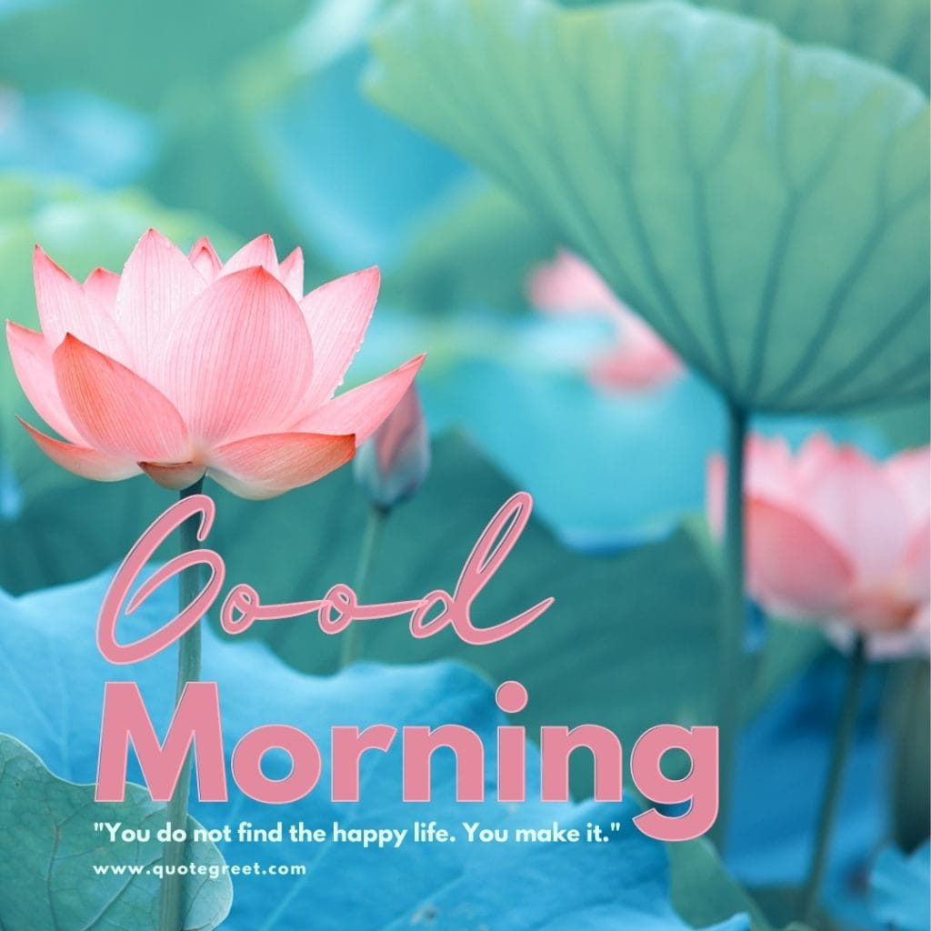 good-moring-pink-lotus-flower-images-quotes-postive-quote-life-inspirational-beautiful-bloom-sweet-nature-cute-new-special-hd-pic-gud-goodmorning-image-pictures-photo