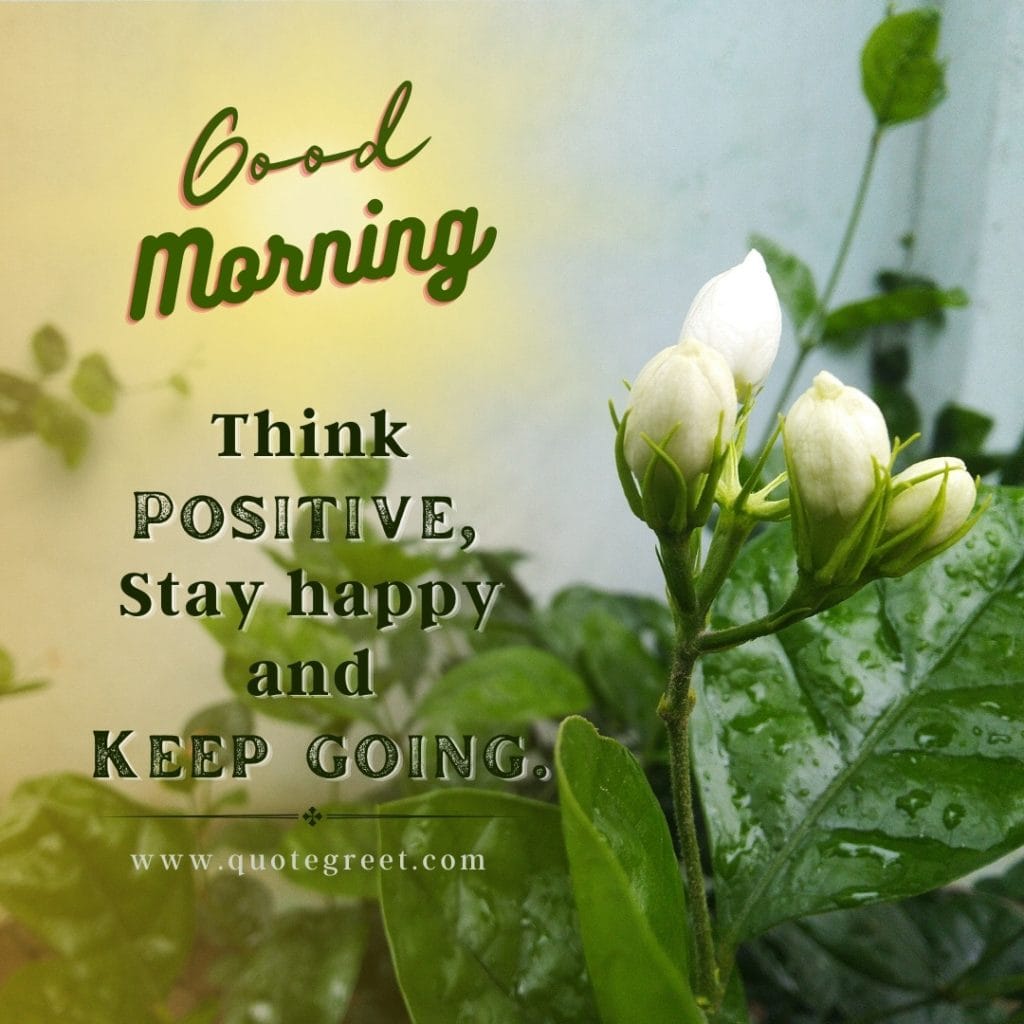 good-morning-jasmine-flower-images-mogra-flowers-wishes-messages-greetings-quotes-beautiful-cute-white-hd-pic-gud-image-picture-photo