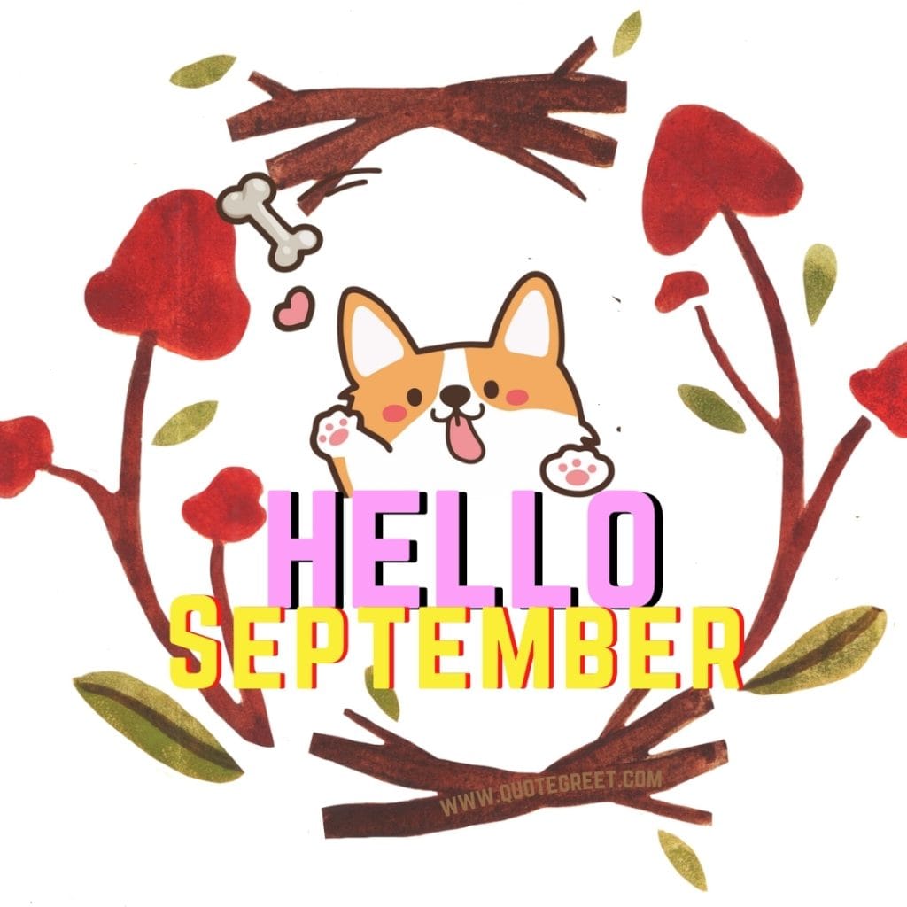 hello-september-images-cartoon-cat-circular-red-yellow-purple-aesthetic-beautiful-wishes-greetings-cute-modern-pretty-pic-picture-image-photo