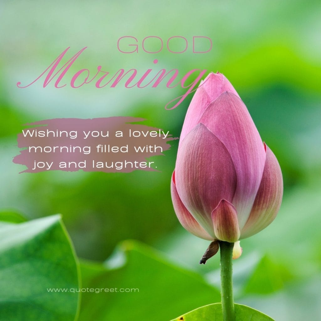 good-moring-pink-lotus-flower-images-wishes-lovely-friend-lover-beautiful-bloom-sweet-nature-cute-new-special-hd-pic-gud-goodmorning-image-pictures-photo