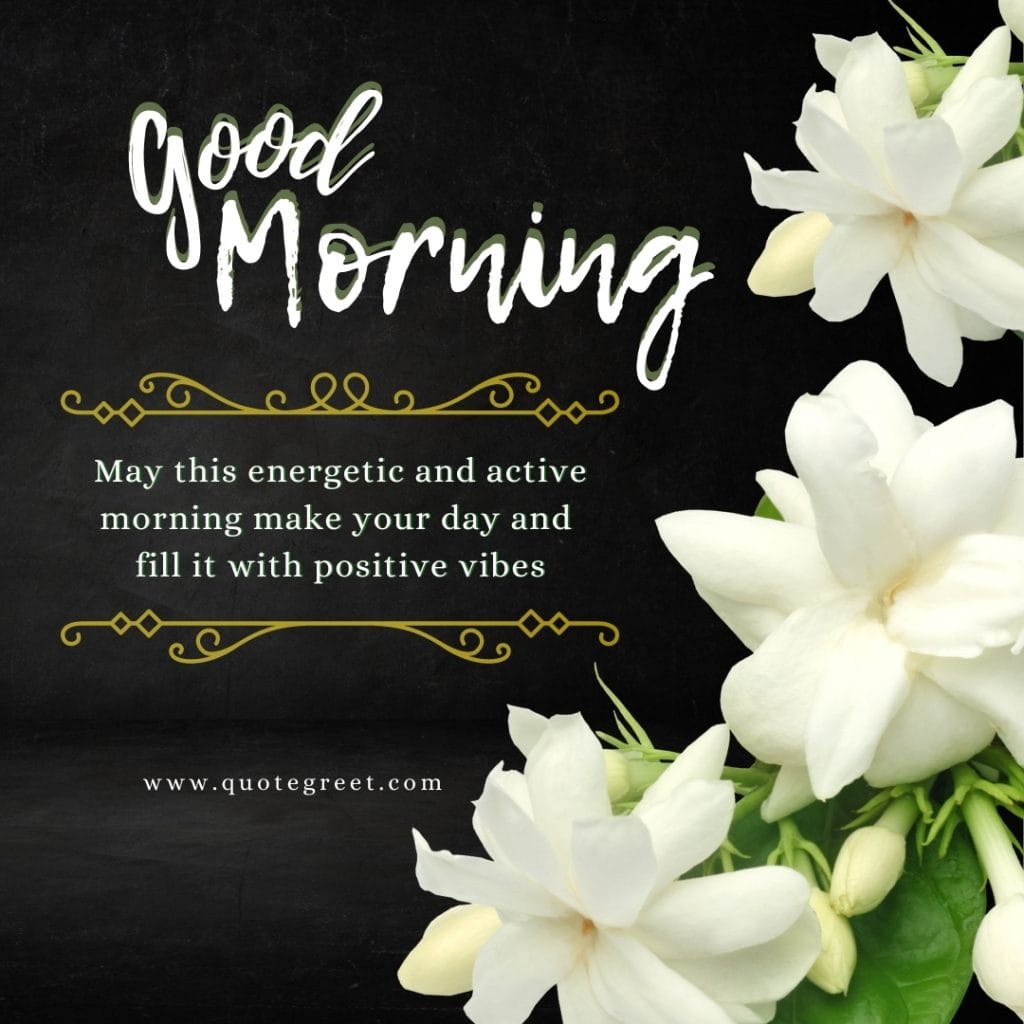 good-morning-jasmine-flower-images-mogra-flowers-wishes-messages-greetings-aesthetic-beautiful-cute-white-hd-pic-gud-image-picture-photo