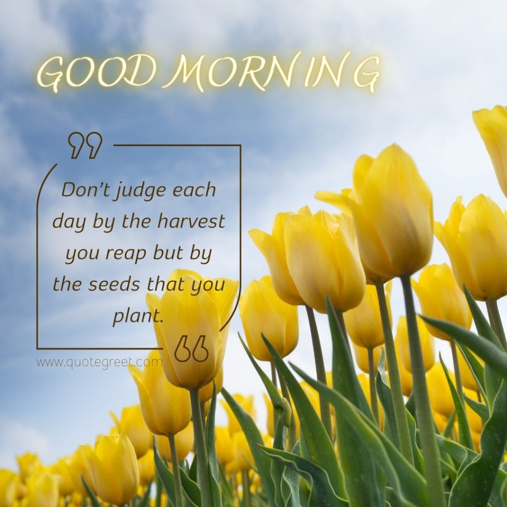 good-morning-quotes-yellow-flowers-motivational-inspirational-positive-quote-unique-gud-pic-image-picture-photo-tulips-garden-beautiful-cute