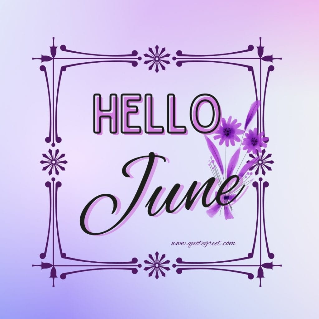 hello-june-images-purple-aesthetic-minimalist-pic-image-picture-photo-hd