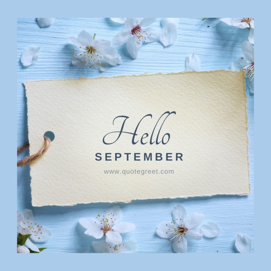 hello-september-images-white-flower-light-blue-aesthetic-beautiful-cute-modern-pretty-pic-picture-image-photo