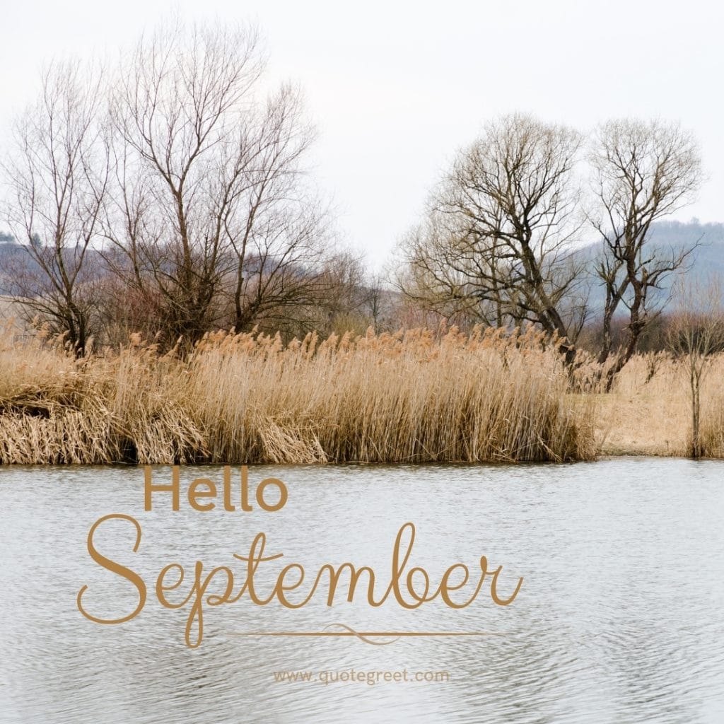 lake-hello-september-images-naturenatural-trees-water-aesthetic-beautiful-cute-modern-pretty-wishes-greetings-pic-picture-image-photo