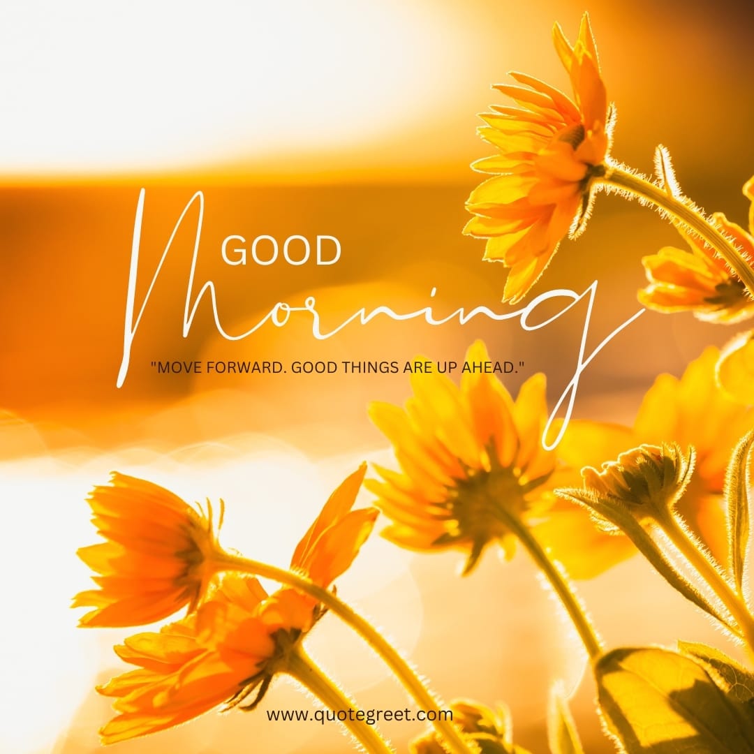 good-morning-quotes-yellow-flowers-motivational-inspirational-positive-quote-unique-gud-pic-image-picture-photo-beautiful-cute-sunflower