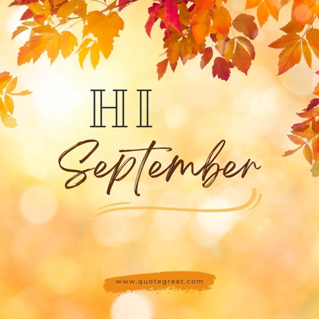 hi-september-images-autum-leaves-fall-orange-nature-aesthetic-beautiful-cute-modern-pretty-wishes-greetings-pic-picture-image-photo