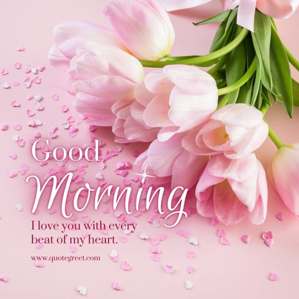 good-morning-i-love-you-quotes-pink-flowers-tulips-romantic-for-her-aesthetic-beautiful-lovely-hd-cute-pic-picture-image-photo