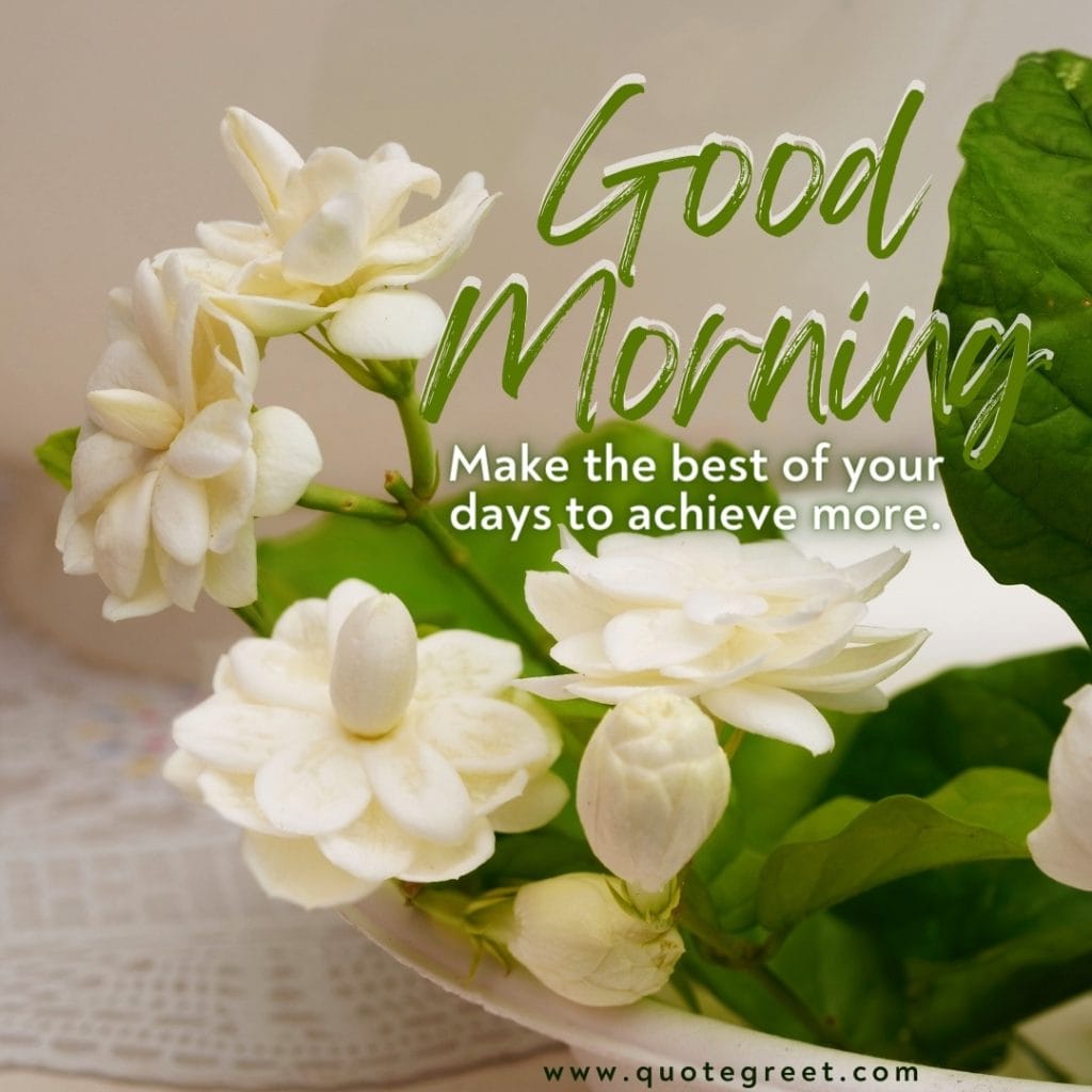 good-morning-jasmine-flower-images-mogra-flowers-wishes-messages-greetings-quotes-beautiful-cute-white-hd-pic-gud-image-picture-photo