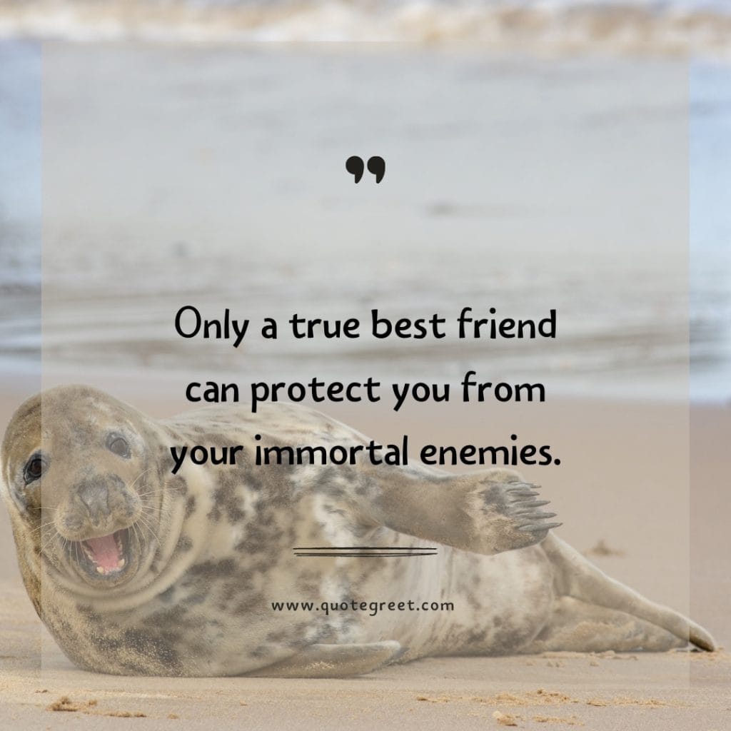 funny-quote-of-the-day-1-april-saturday-1st-today-funny-animal-seal-humor-hilarious-quotes