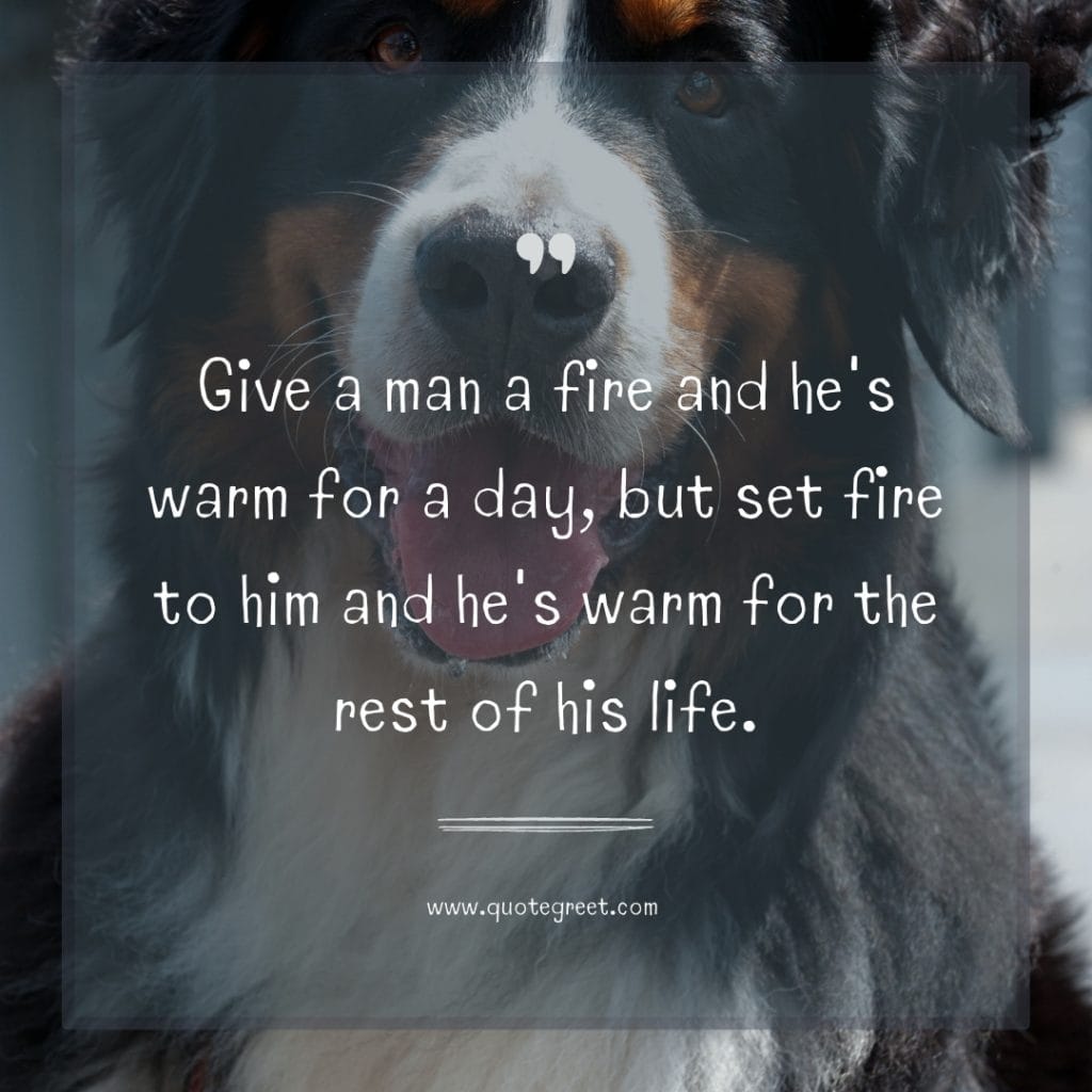 funny-quote-of-the-day-22-march-wednesday-22nd-today-funny-dog-humor-hilarious-quotes