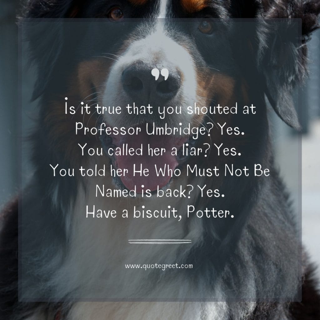 funny-quote-of-the-day-24-march-friday-24th-today-funny-dog-humor-hilarious-quotes