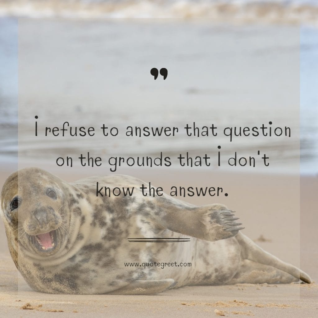 funny-quote-of-the-day-26-march-sunday-26th-today-funny-animal-seal-humor-hilarious-quotes