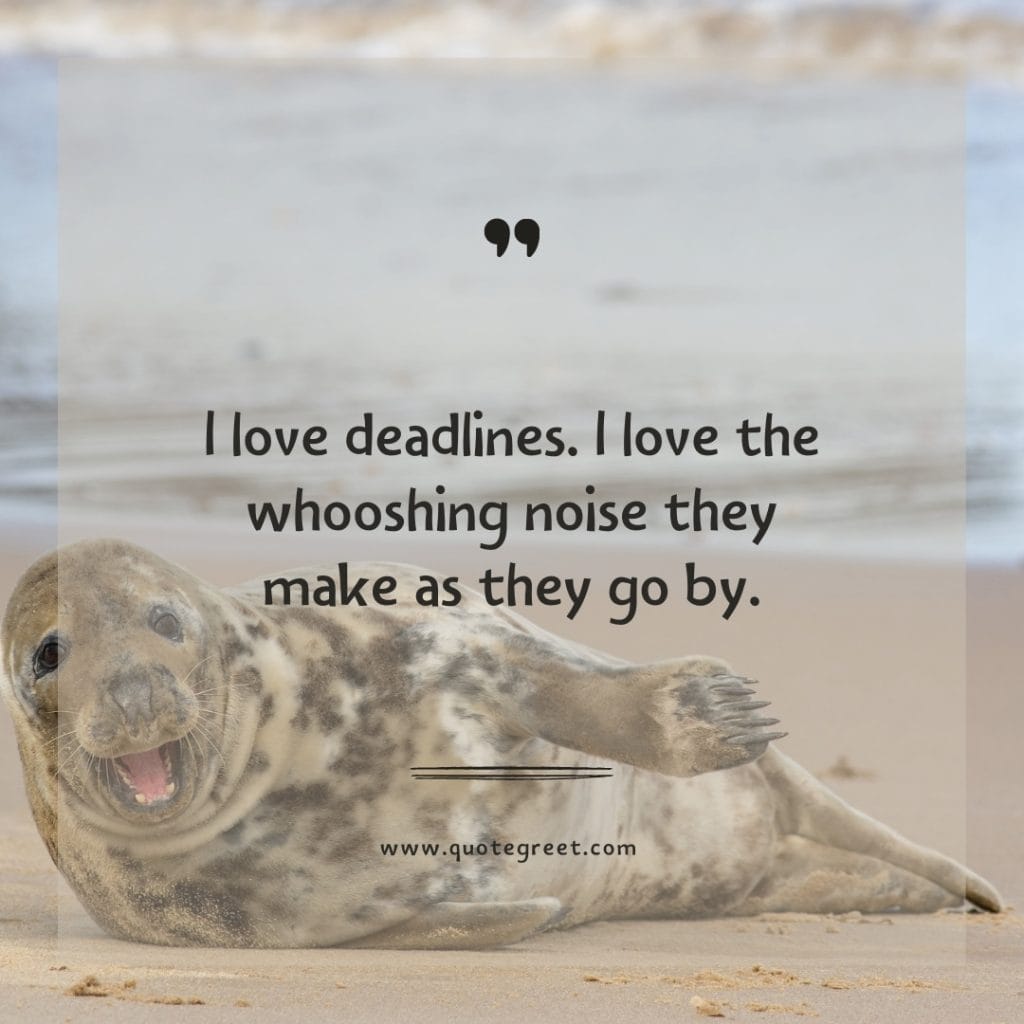 funny-quote-of-the-day-27-march-monday-27th-today-funny-animal-seal-humor-hilarious-quotes