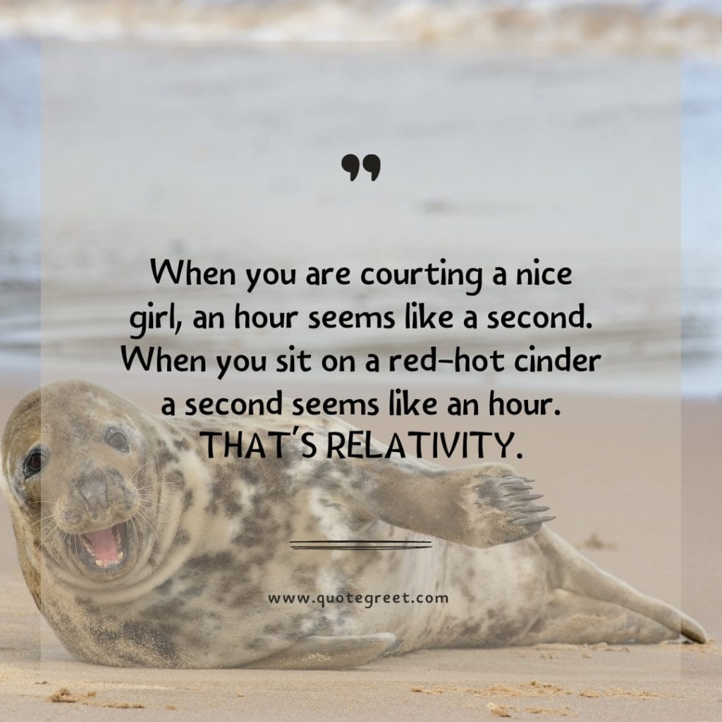 funny-quote-of-the-day-28-march-tuesday-28th-today-funny-animal-seal-humor-hilarious-quotes