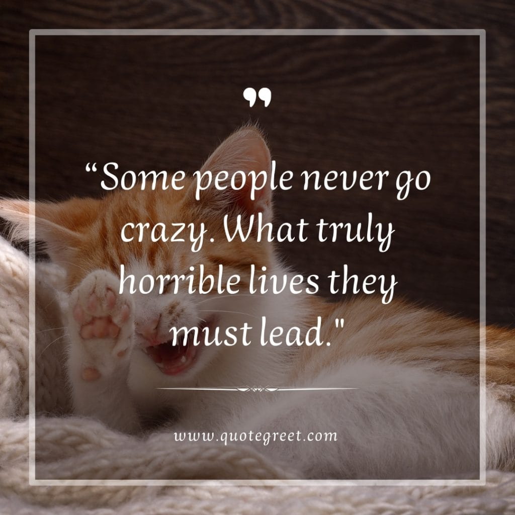 funny-quote-of-the-day-8-march-wednesday-8th-today-funny-cat-humor-hilarious-quotes