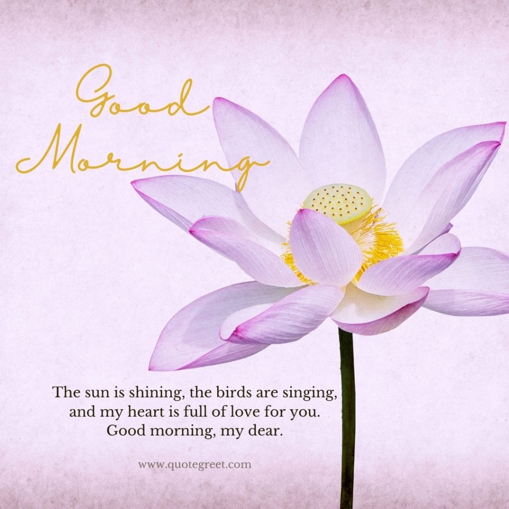 good-morning-pink-lotus-flower-images-romantic-love-message-for-him-her-wife-husband-aesthetic-beautiful-bloom-sweet-nature-cute-new-special-hd-pic-gud-goodmorning-image-pictures-photo