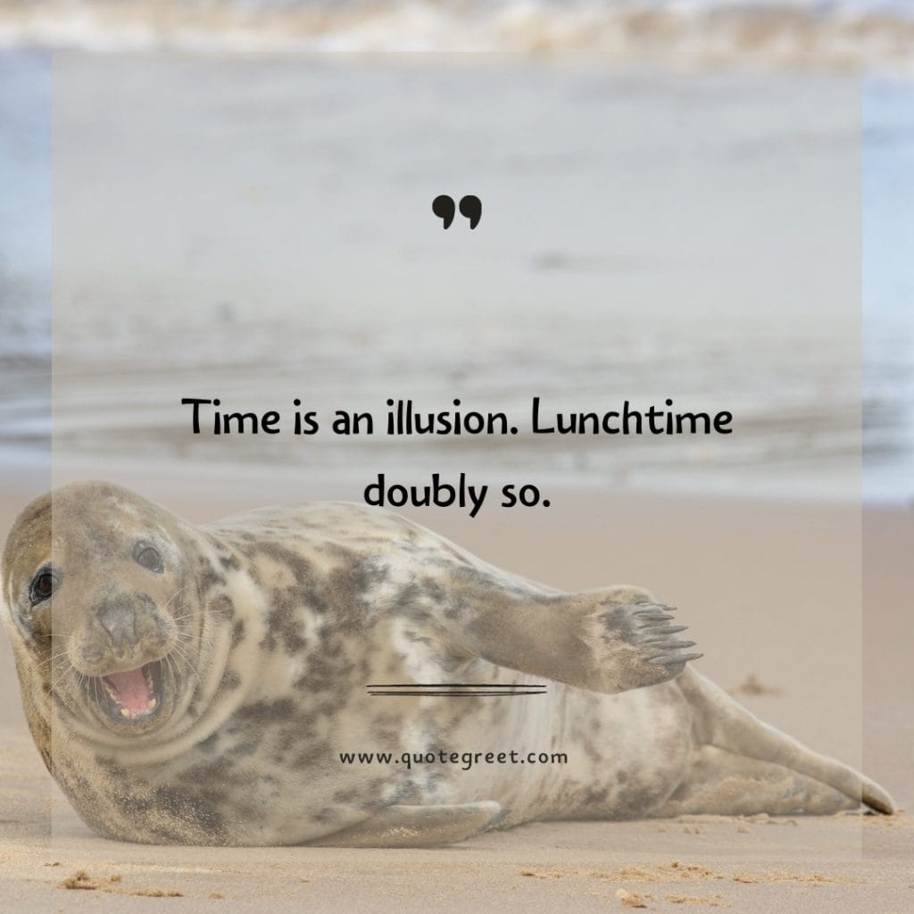 funny-quote-of-the-day-10-april-monday-10th-today-funny-animal-seal-humor-hilarious-quotes