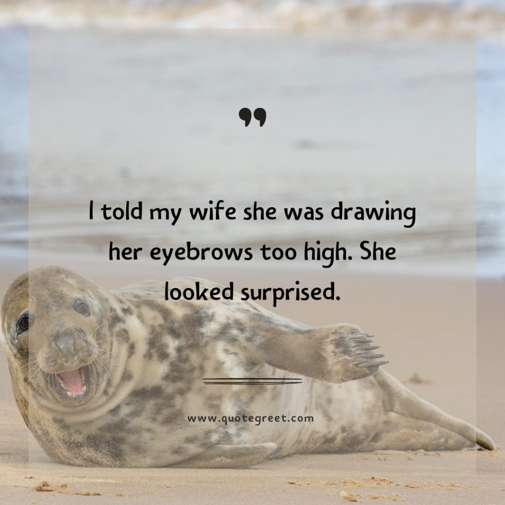 funny-quote-of-the-day-12-april-wednesday-12th-today-funny-animal-seal-humor-hilarious-quotes