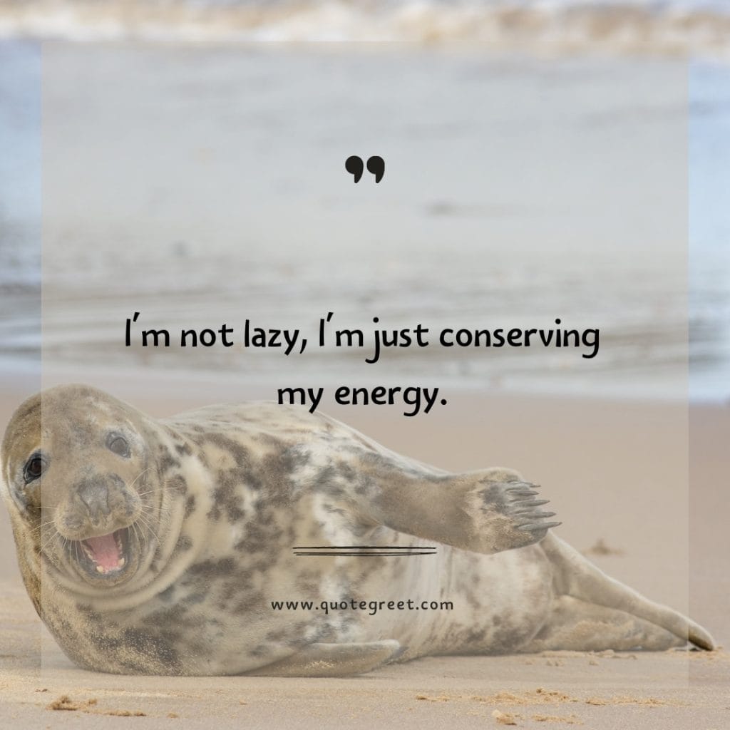 funny-quote-of-the-day-14-april-friday-14th-today-funny-animal-seal-humor-hilarious-quotes