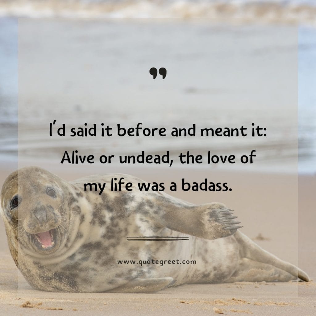 funny-quote-of-the-day-2-april-sunday-2nd-today-funny-animal-seal-humor-hilarious-quotes