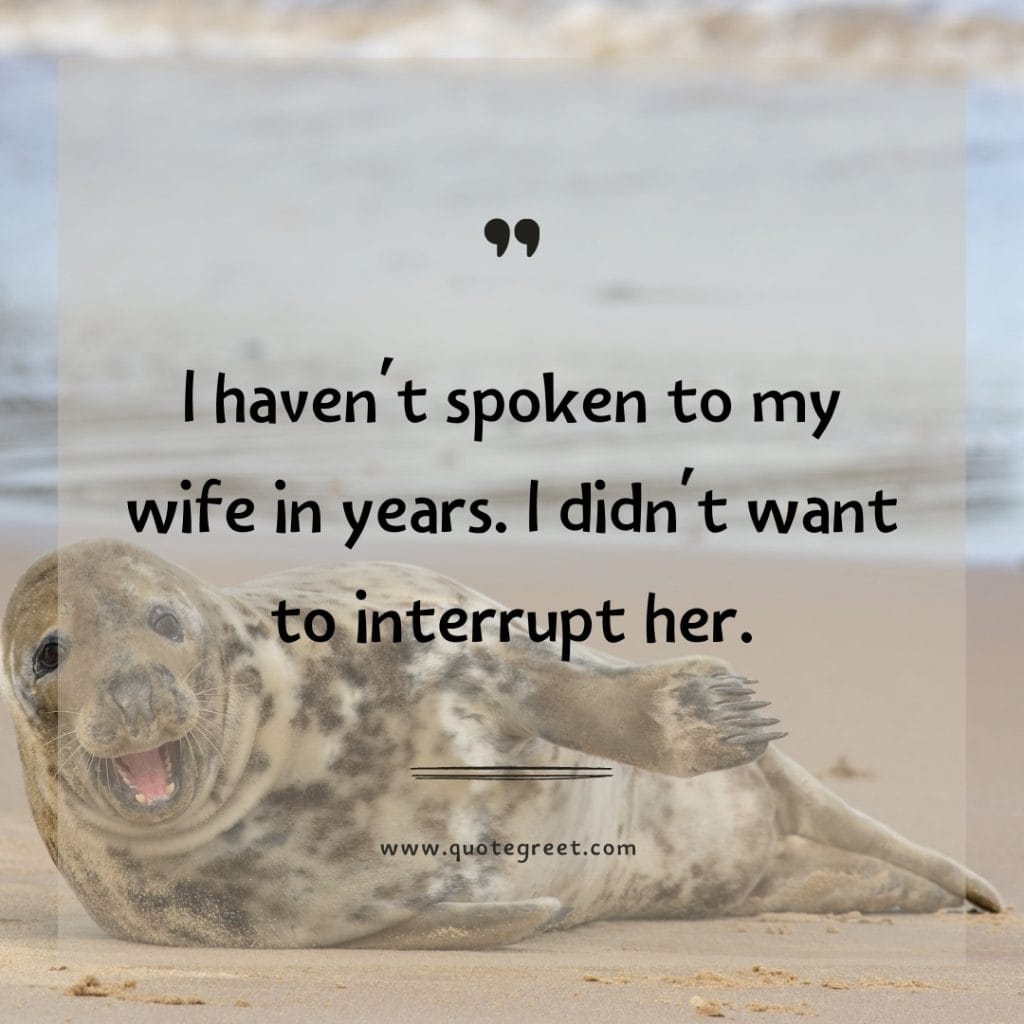 funny-quote-of-the-day-21-april-friday-21st-today-funny-animal-seal-humor-hilarious-quotes