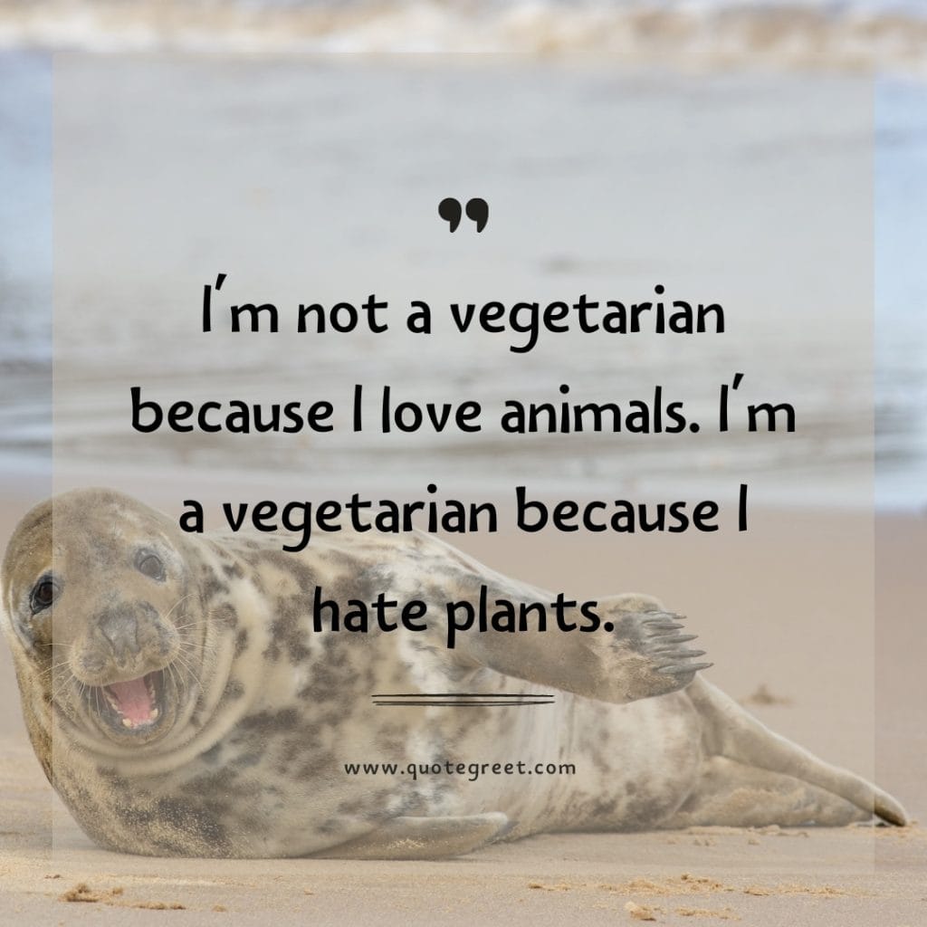 funny-quote-of-the-day-23-april-sunday-23rd-today-funny-animal-seal-humor-hilarious-quotes