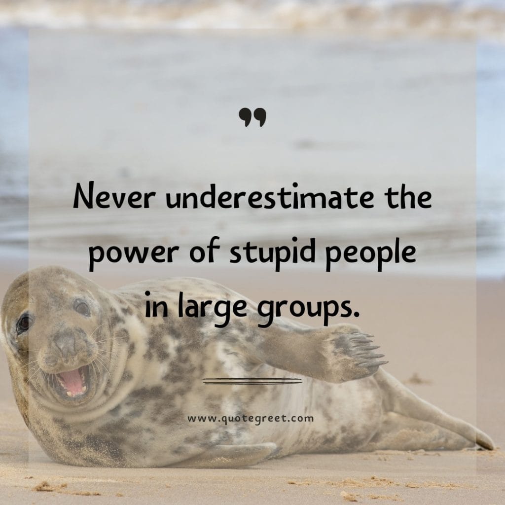 funny-quote-of-the-day-25-april-tuesday-25th-today-funny-animal-seal-humor-hilarious-quotes