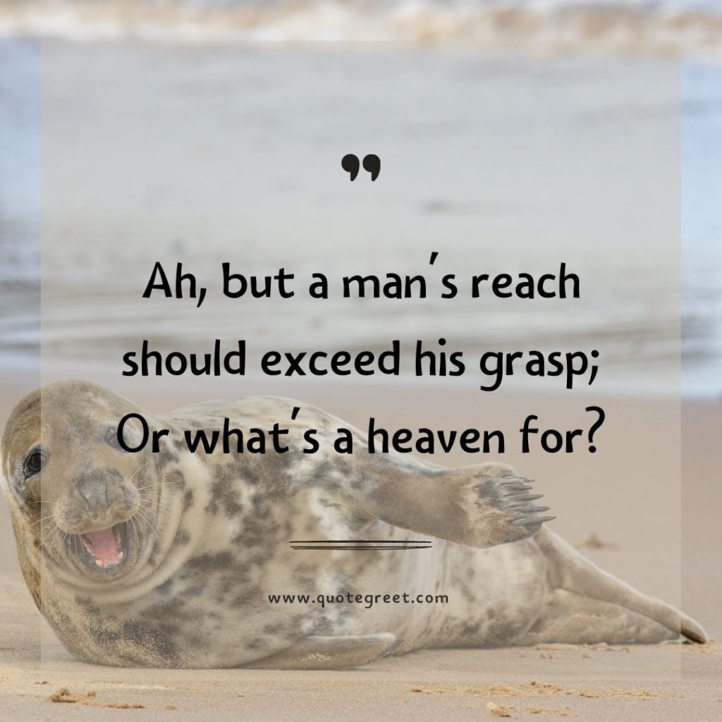 funny-quote-of-the-day-26-april-wednesday-26th-today-funny-animal-seal-humor-hilarious-quotes