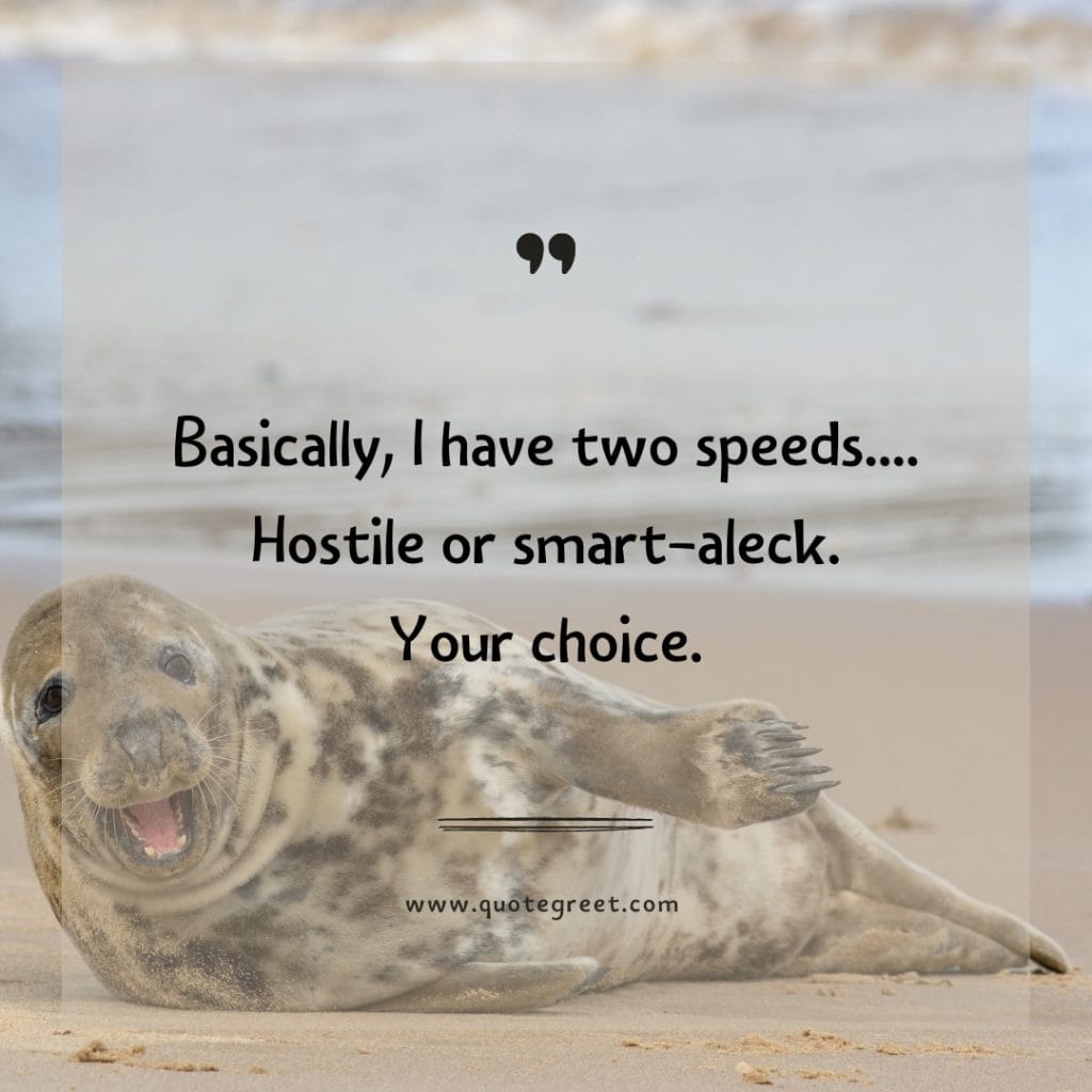 funny-quote-of-the-day-4-april-tuesday-4th-today-funny-animal-seal-humor-hilarious-quotes