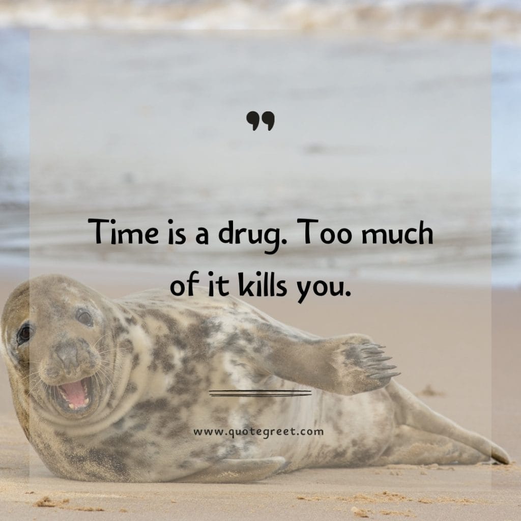 funny-quote-of-the-day-5-april-wednesday-5th-today-funny-animal-seal-humor-hilarious-quotes