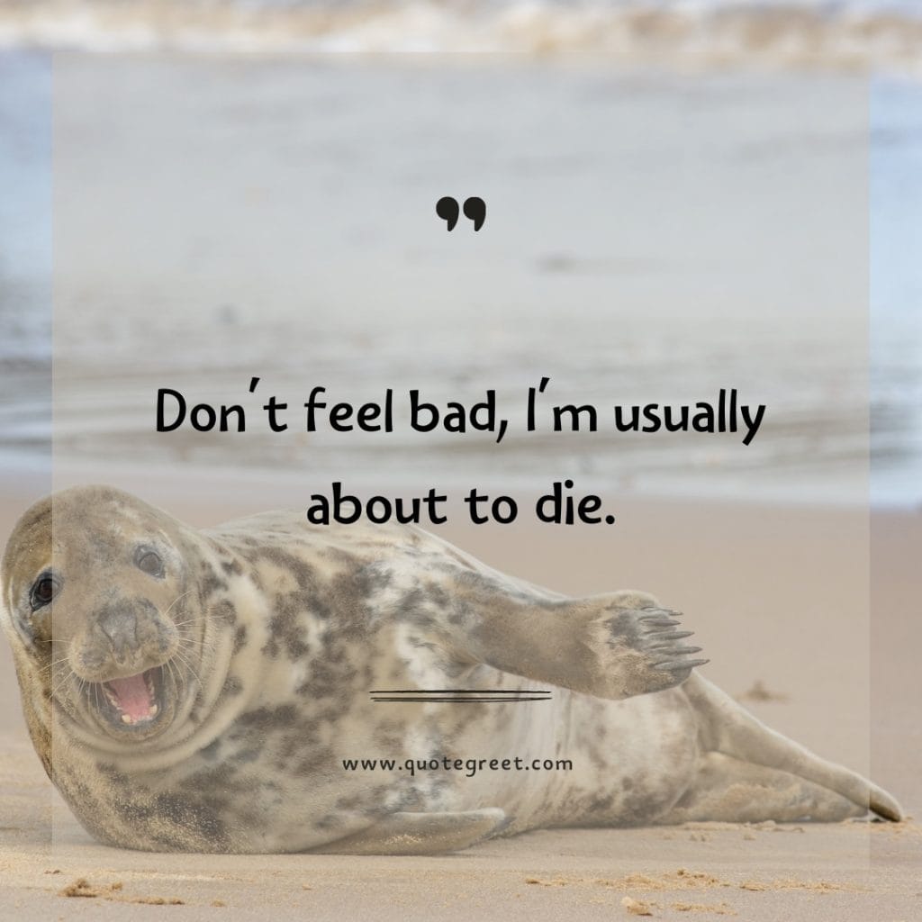 funny-quote-of-the-day-6-april-thursday-6th-today-funny-animal-seal-humor-hilarious-quotes