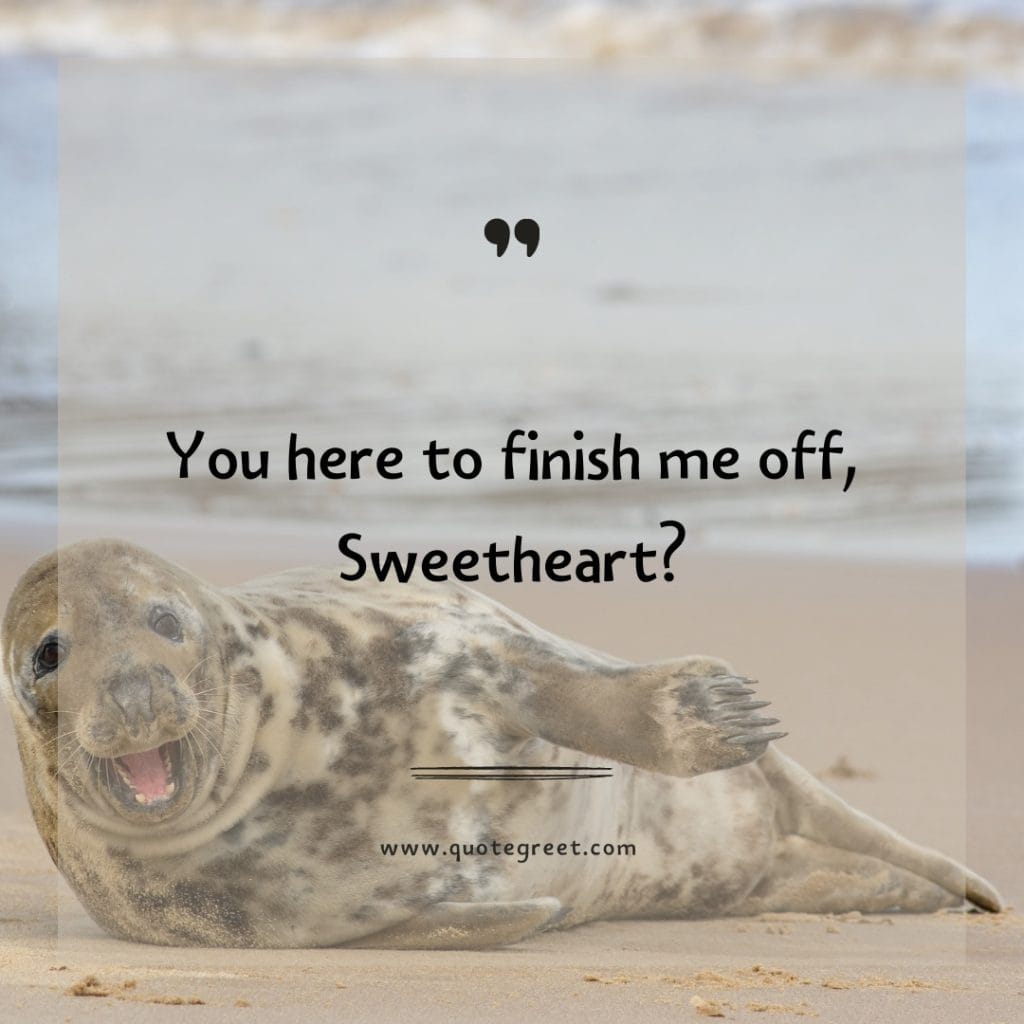 funny-quote-of-the-day-8-april-saturday-8th-today-funny-animal-seal-humor-hilarious-quotes