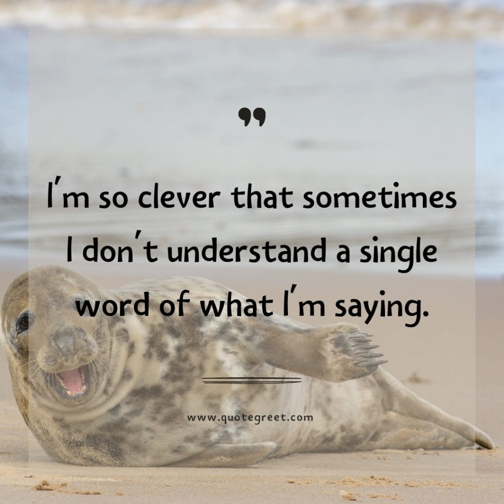 i-am-so-clever-that-sometimes-funny-quote-of-the-day-18-april-tuesday-18th-today-funny-animal-seal-humor-hilarious-quotes