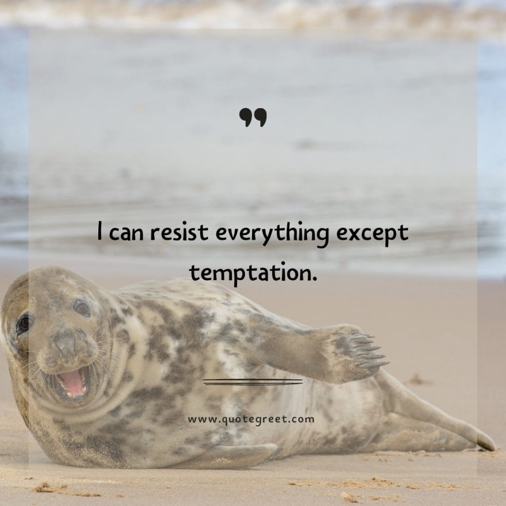 i-can-resist-everything-except-temptation-funny-quote-of-the-day-13-april-thursday-13th-today-funny-animal-seal-humor-hilarious-quotes