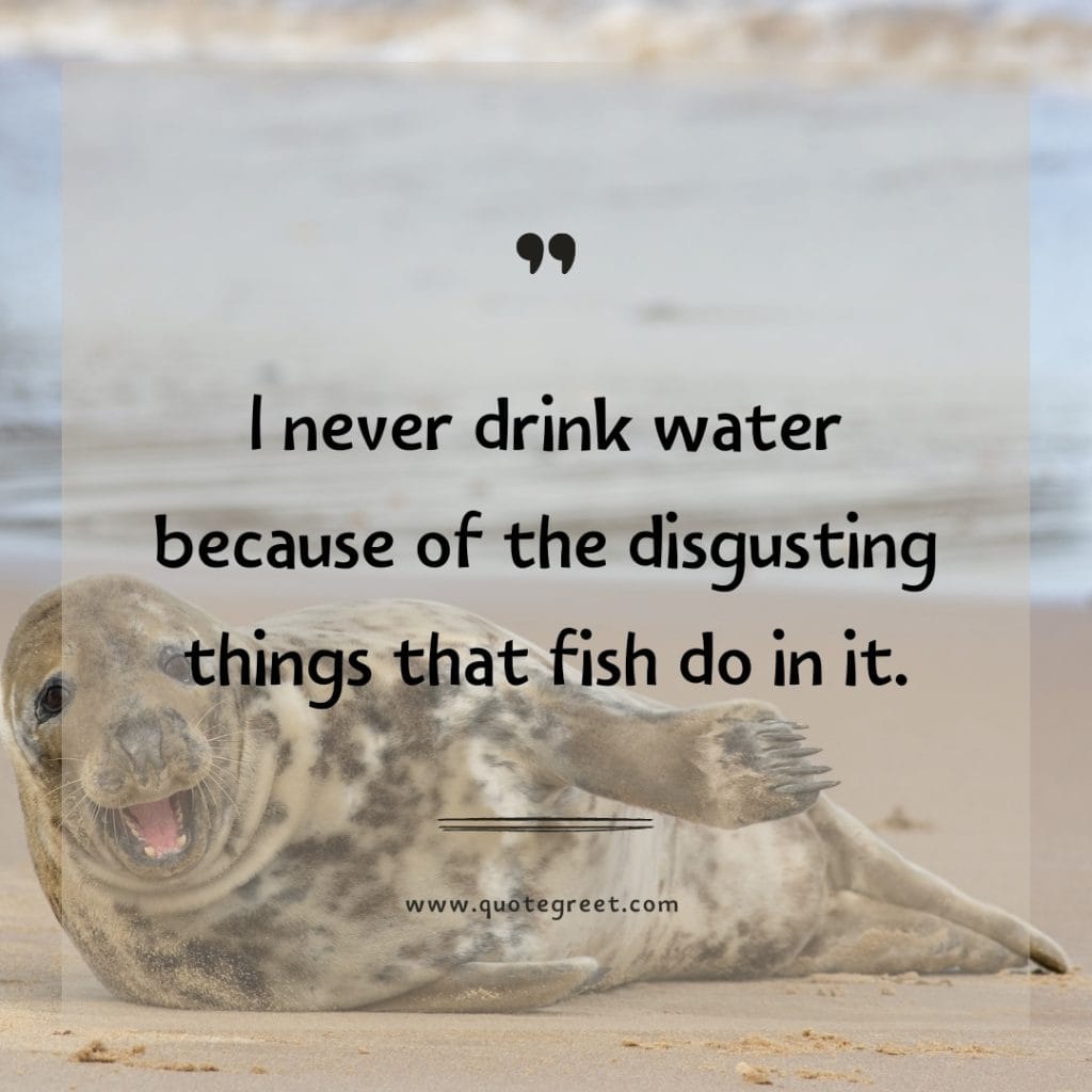 i-never-drink-water-because-funny-quote-of-the-day-22-april-saturday-22nd-today-funny-animal-seal-humor-hilarious-quotes